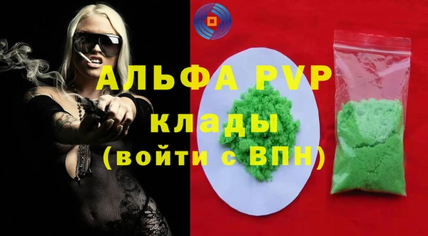 индика Алексин