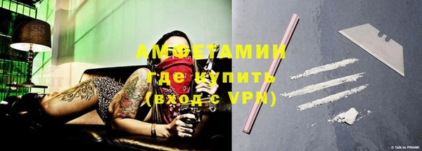 индика Алексин