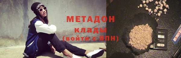 индика Алексин