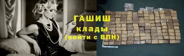 индика Алексин