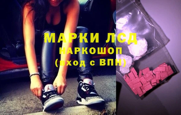 индика Алексин