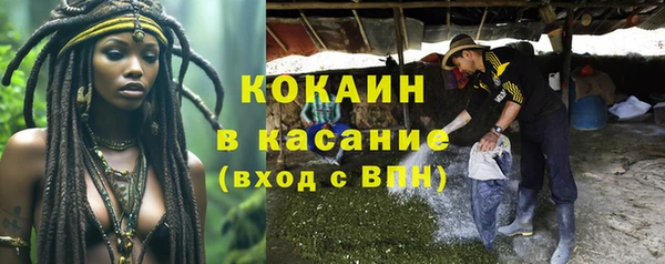 гашик Алексеевка